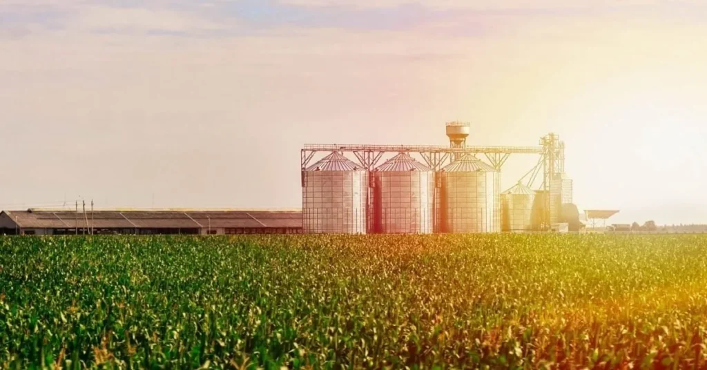 Grain bins and silos standing tall in a sunlit field, surrounded by lush crops, illustrating the agricultural landscape.