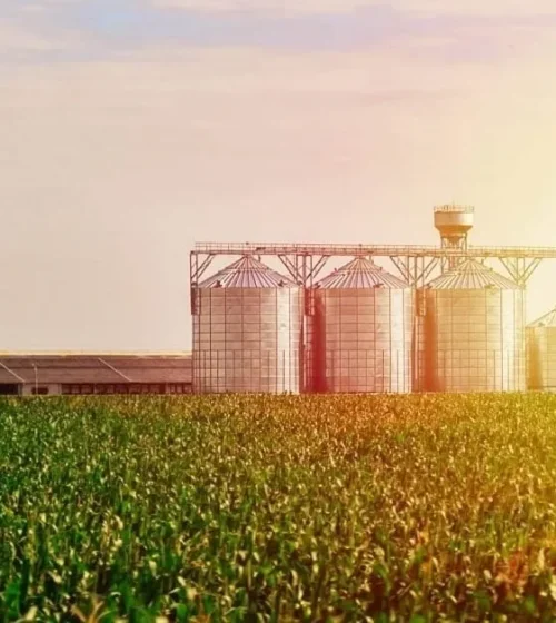 Grain bins and silos standing tall in a sunlit field, surrounded by lush crops, illustrating the agricultural landscape.