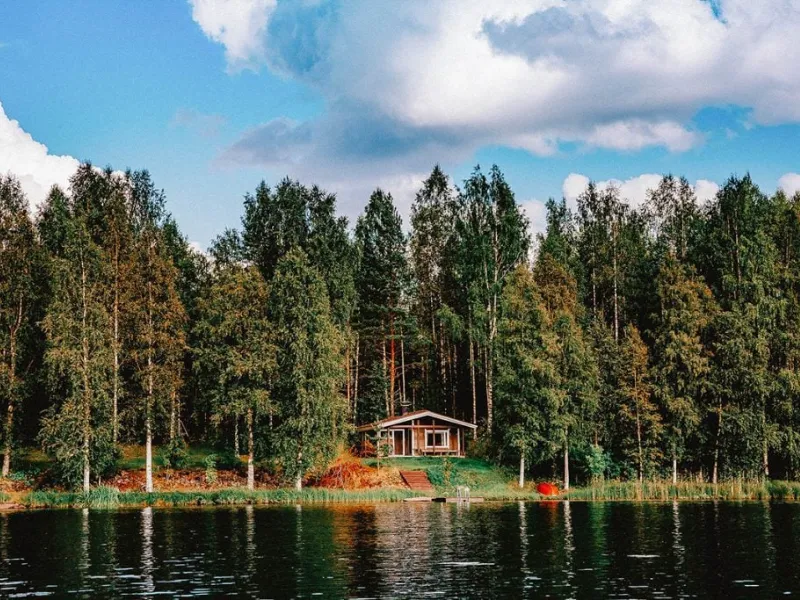 Wooden cabin nestled in a dense forest by a serene lakeshore, highlighting a natural setting ideal for using screw piles for foundation support.