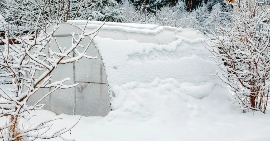 A snow-covered aquaponic greenhouse, surrounded by bare trees in a winter landscape. The greenhouse is covered with a thick layer of snow, showcasing its resilience to harsh weather conditions.