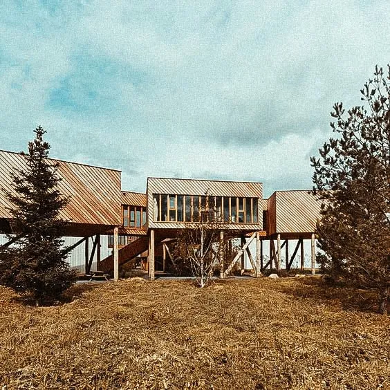 Modern elevated wooden house built on stilts in a natural, open landscape with trees scattered around.