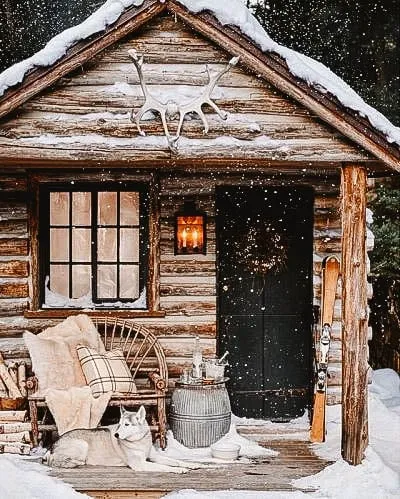 Rustic log cabin with snow-covered roof, cozy seating, and a dog lounging outside, surrounded by winter scenery.