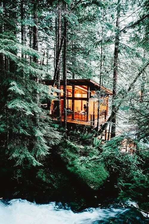 Modern treehouse cabin built on stilts in a dense forest, overlooking a flowing river.