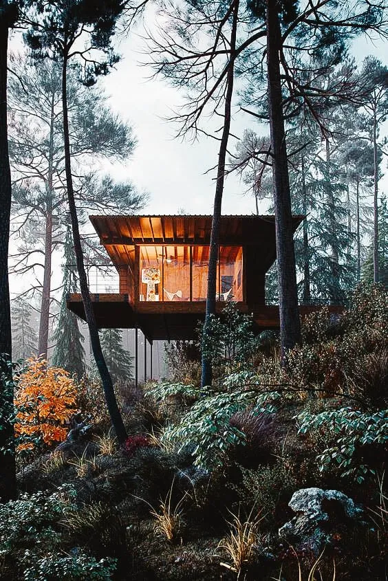 Modern treehouse-style home built in a forest setting