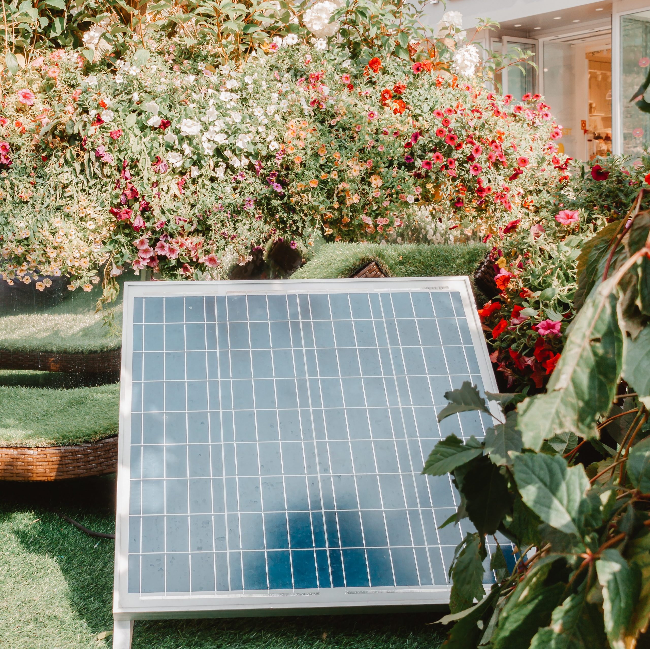 Solar cell in back or front house yard with trees and flowers warm sunny spring or summer day.
