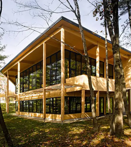 Modern wooden building with large glass windows in a forest setting.