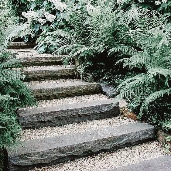 Stone outdoor stairs surrounded by lush ferns and greenery.