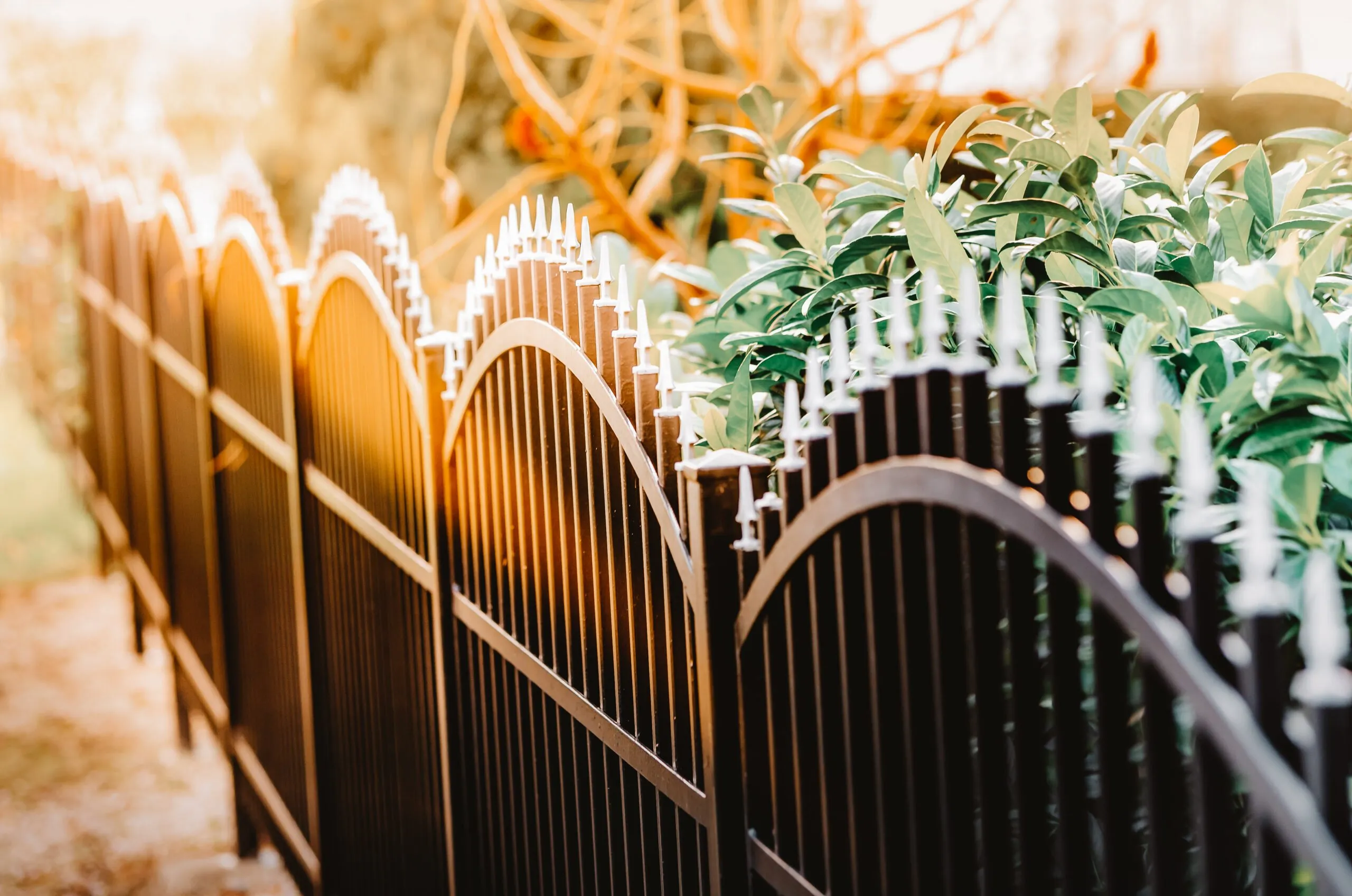 Metal fence with spiked tops and greenery in the background